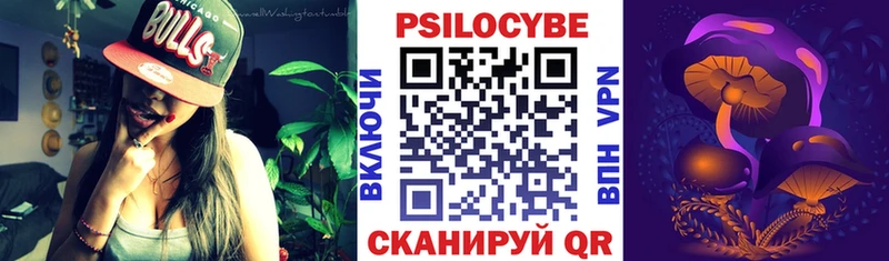 Псилоцибиновые грибы Cubensis  Любань 